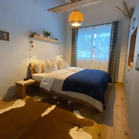 Moderne Kaminstube ラムサウ・アム・ダッハシュタイン