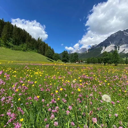 Apartman Moderne Kaminstube