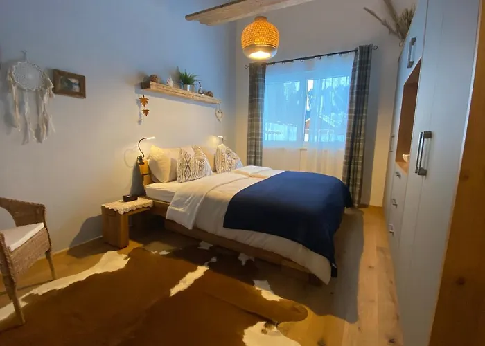 Moderne Kaminstube 拉姆绍达赫斯坦