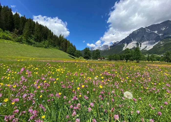 公寓 Moderne Kaminstube