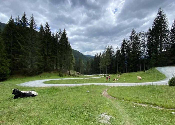 Moderne Kaminstube *